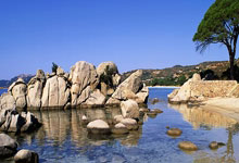 开云体育入口-日本队完胜德国队，张继科点燃赛场的简单介绍