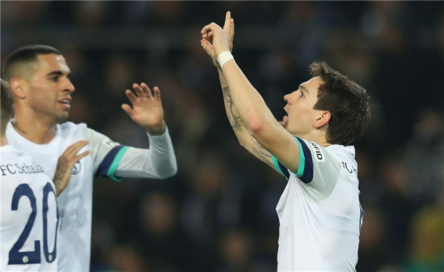 沙尔克04年轻队员迅速成长，成为球队未来希望的简单介绍