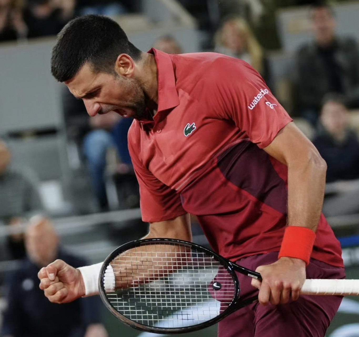 法网完胜澳网，德约科维奇点燃赛场